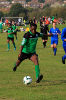 Eldon-2014 1121