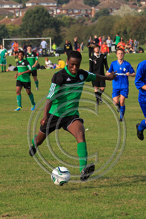 Eldon-2014 1121