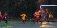 131123 B Cavaliers U9 v Pinewood Pumas 0-3 004