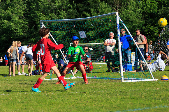 130629 Sandhurst Wanderers U8 at BTJ U9 Trny (564)