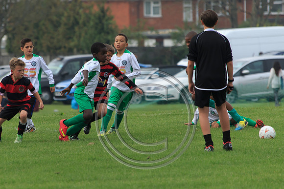 Eldon-2014 514