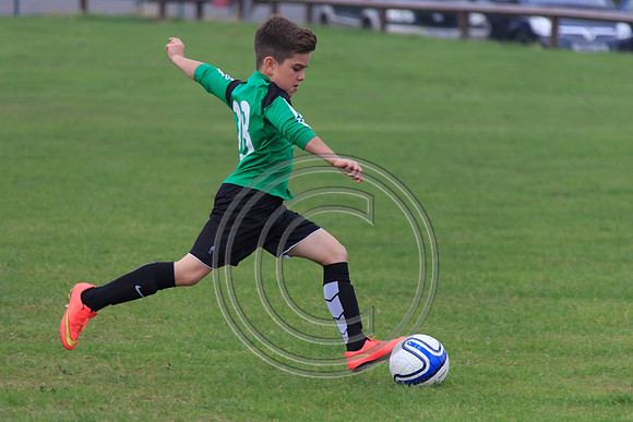 Eldon-2014 093