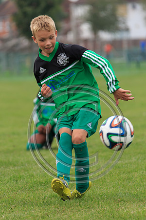 Eldon-2014 610
