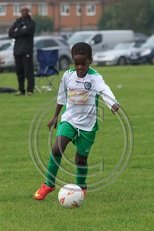 Eldon-2014 517