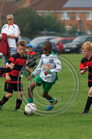 Eldon-2014 562