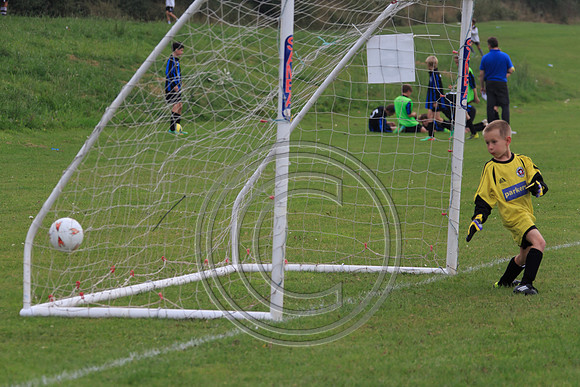 Eldon-2014 511