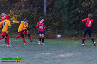 131123 B Cavaliers U9 v Pinewood Pumas 0-3 021