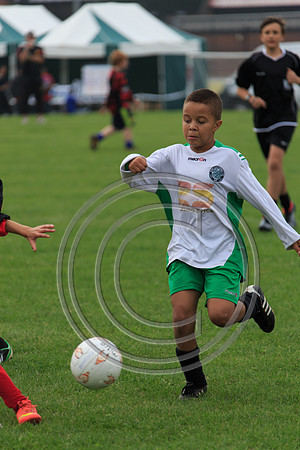 Eldon-2014 503