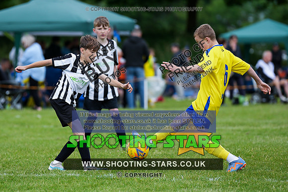 U12HH24DB-0036