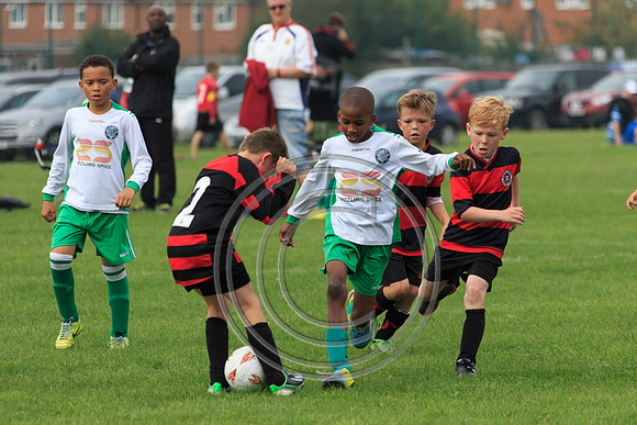 Eldon-2014 564