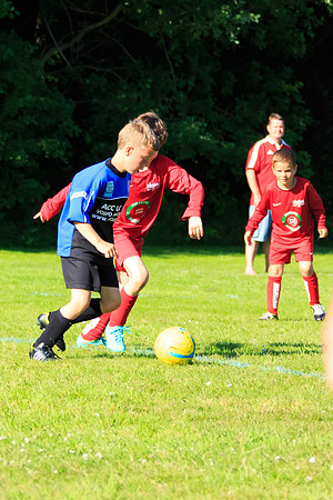 130629 Sandhurst Wanderers U8 at BTJ U9 Trny (530)