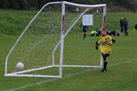 Eldon-2014 482