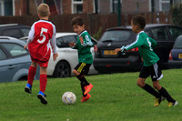 Eldon-2014 162