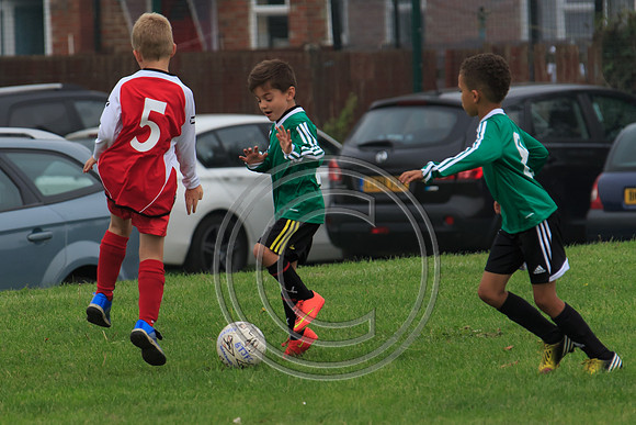 Eldon-2014 162