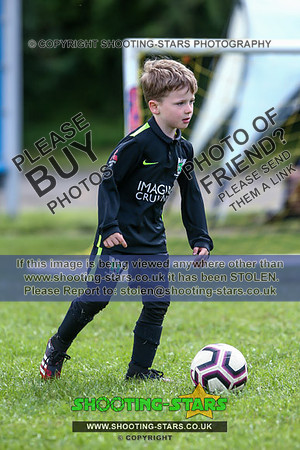 B19A7104