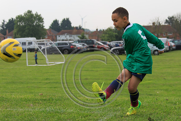 Eldon-2014 809