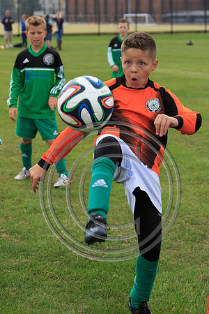 Eldon-2014 582