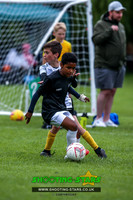 NG015771