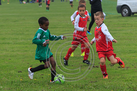 Eldon-2014 321
