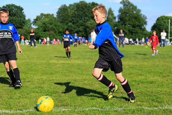 130629 Sandhurst Wanderers U8 at BTJ U9 Trny (520)