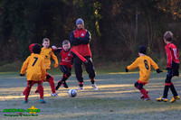 131123 B Cavaliers U9 v Pinewood Pumas 0-3 015