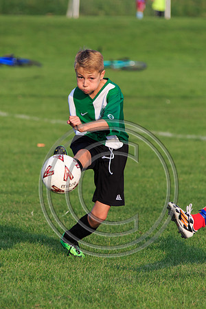 Eldon-2014 1408