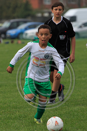 Eldon-2014 566