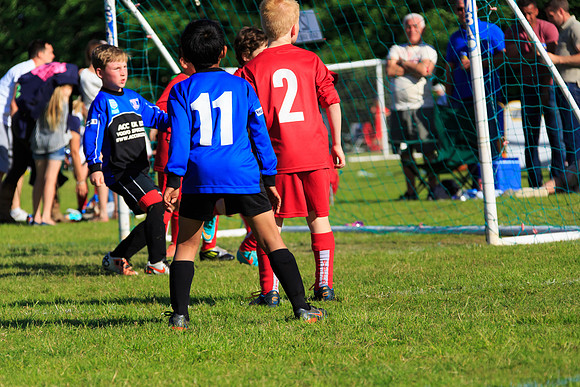 130629 Sandhurst Wanderers U8 at BTJ U9 Trny (568)