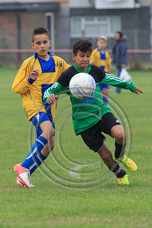 Eldon-2014 361