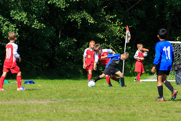 130629 Sandhurst Wanderers U8 at BTJ U9 Trny (290)