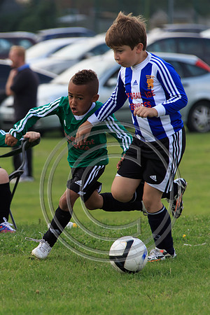 Eldon-2014 926
