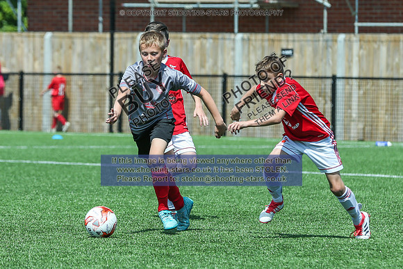 1DX_5558