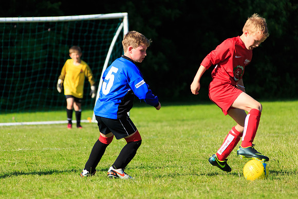 130629 Sandhurst Wanderers U8 at BTJ U9 Trny (572)