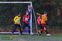 131123 B Cavaliers U9 v Pinewood Pumas 0-3 008