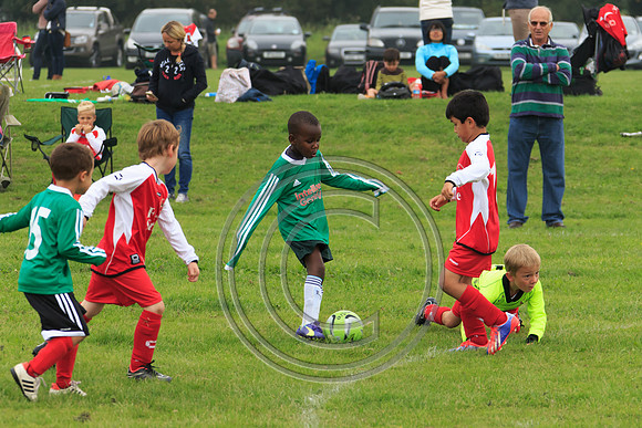 Eldon-2014 207