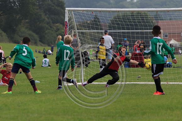 Eldon-2014 810