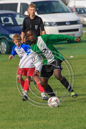 Eldon-2014 1077