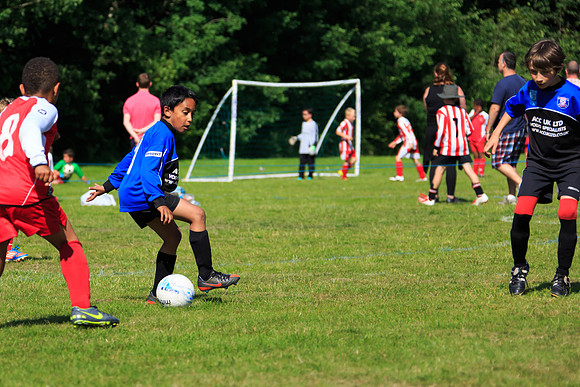 130629 Sandhurst Wanderers U8 at BTJ U9 Trny (296)
