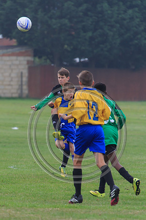 Eldon-2014 349
