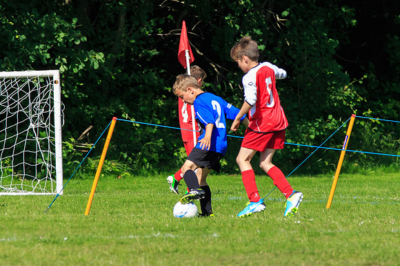 130629 Sandhurst Wanderers U8 at BTJ U9 Trny (289)