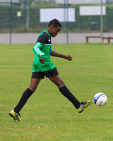 Eldon-2014 112