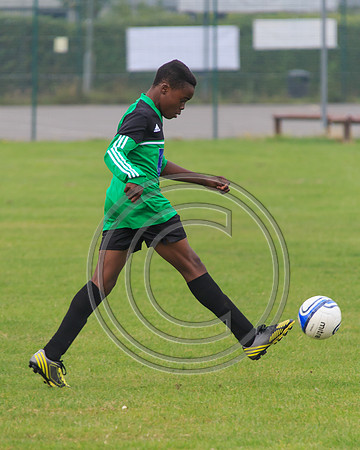Eldon-2014 112