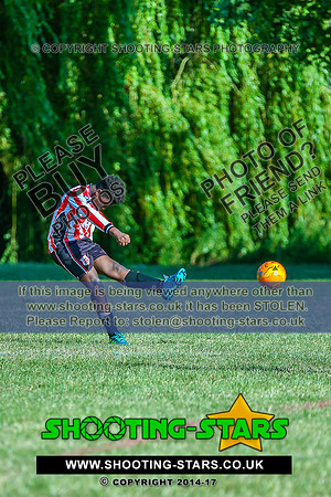 1DX_9598