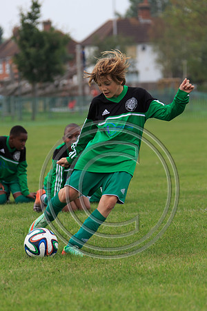 Eldon-2014 616