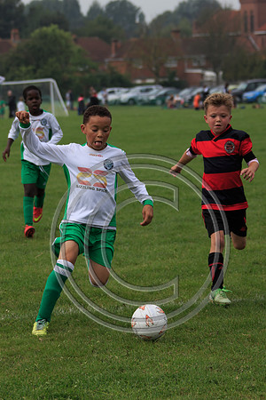 Eldon-2014 568