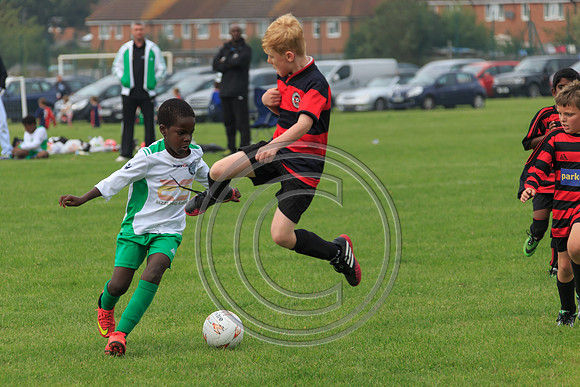 Eldon-2014 520