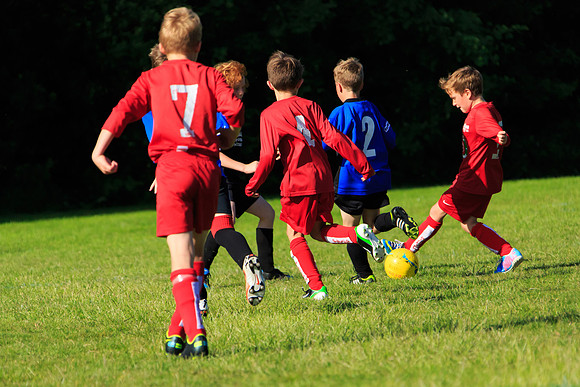 130629 Sandhurst Wanderers U8 at BTJ U9 Trny (574)