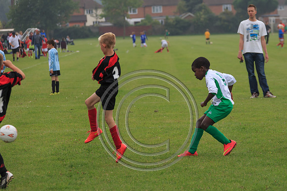 Eldon-2014 510