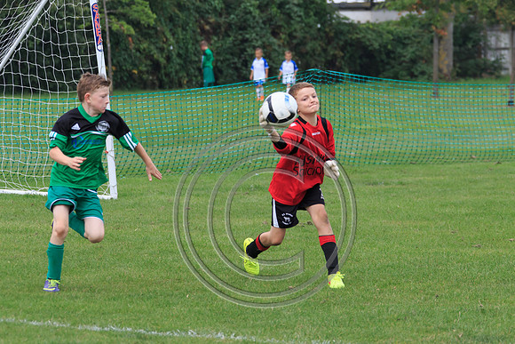 Eldon-2014 455