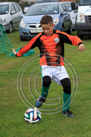 Eldon-2014 574